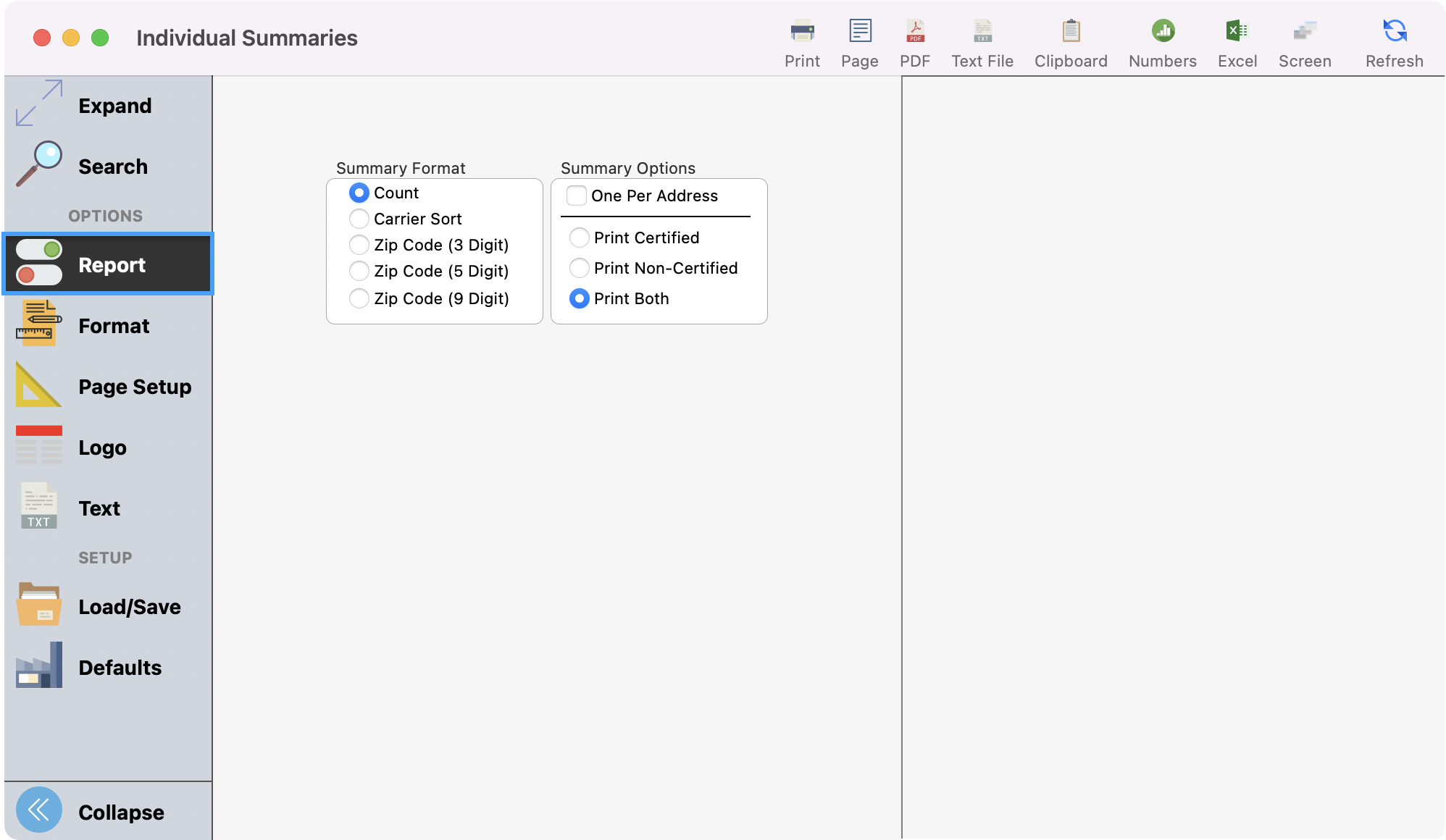 Individual summaries window with Report highlighted in the left sidebar.