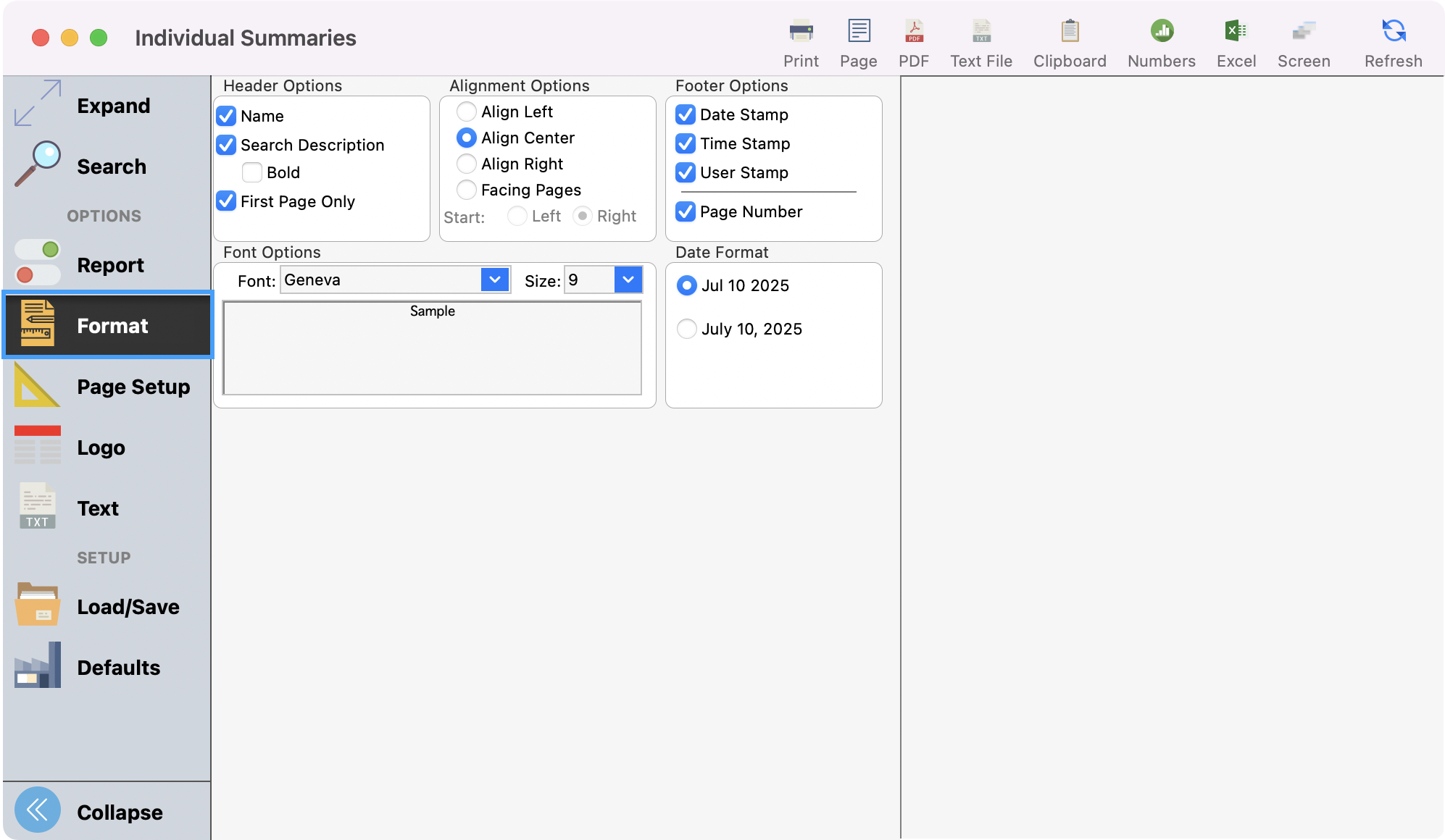 Individual Summaries window with Format highlighted in the left sidebar.