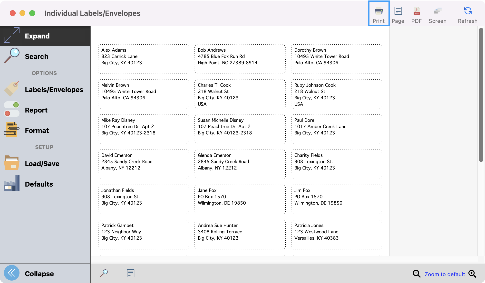 Individual Labels window highlighting the print option in the upper right-hand corner. 