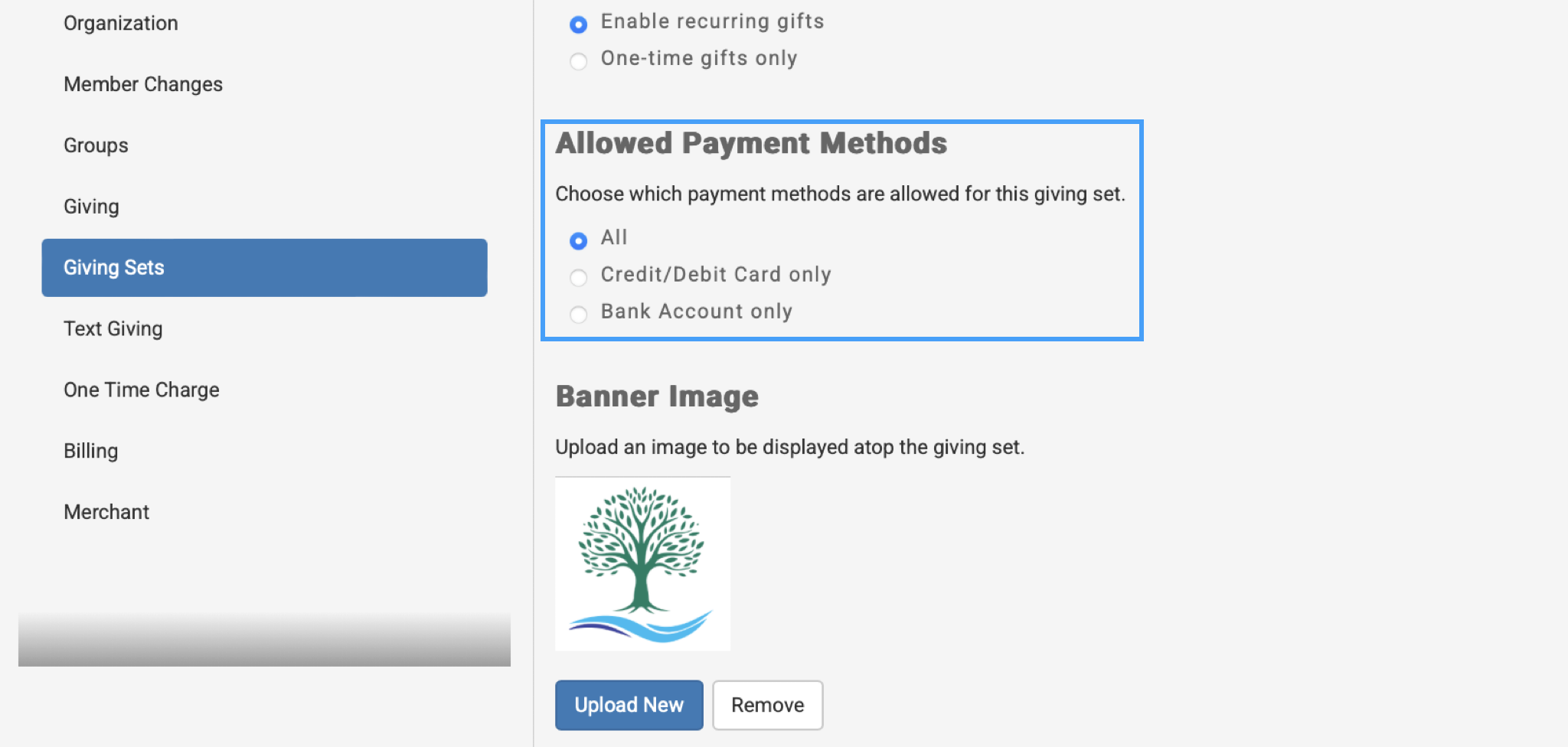Allowed Payment Methods section is highlighted on the New Giving Set form. 