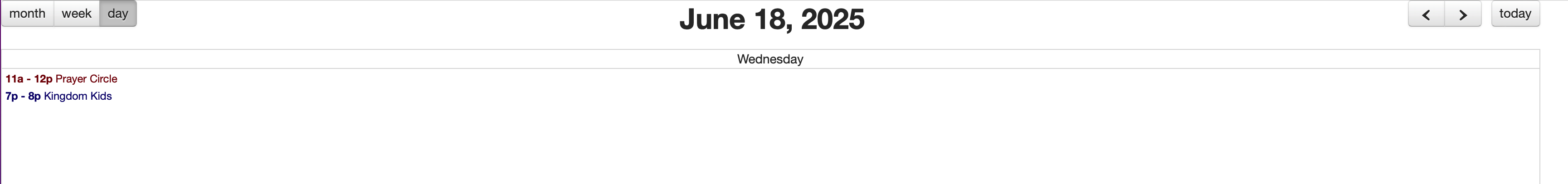 An example of the Basic Day View.