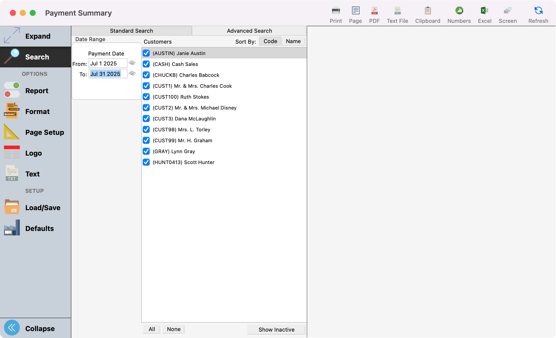 Picture of Payment Summary report window.