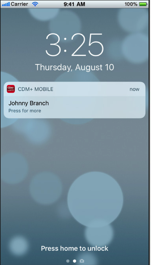 Example of a push notification.