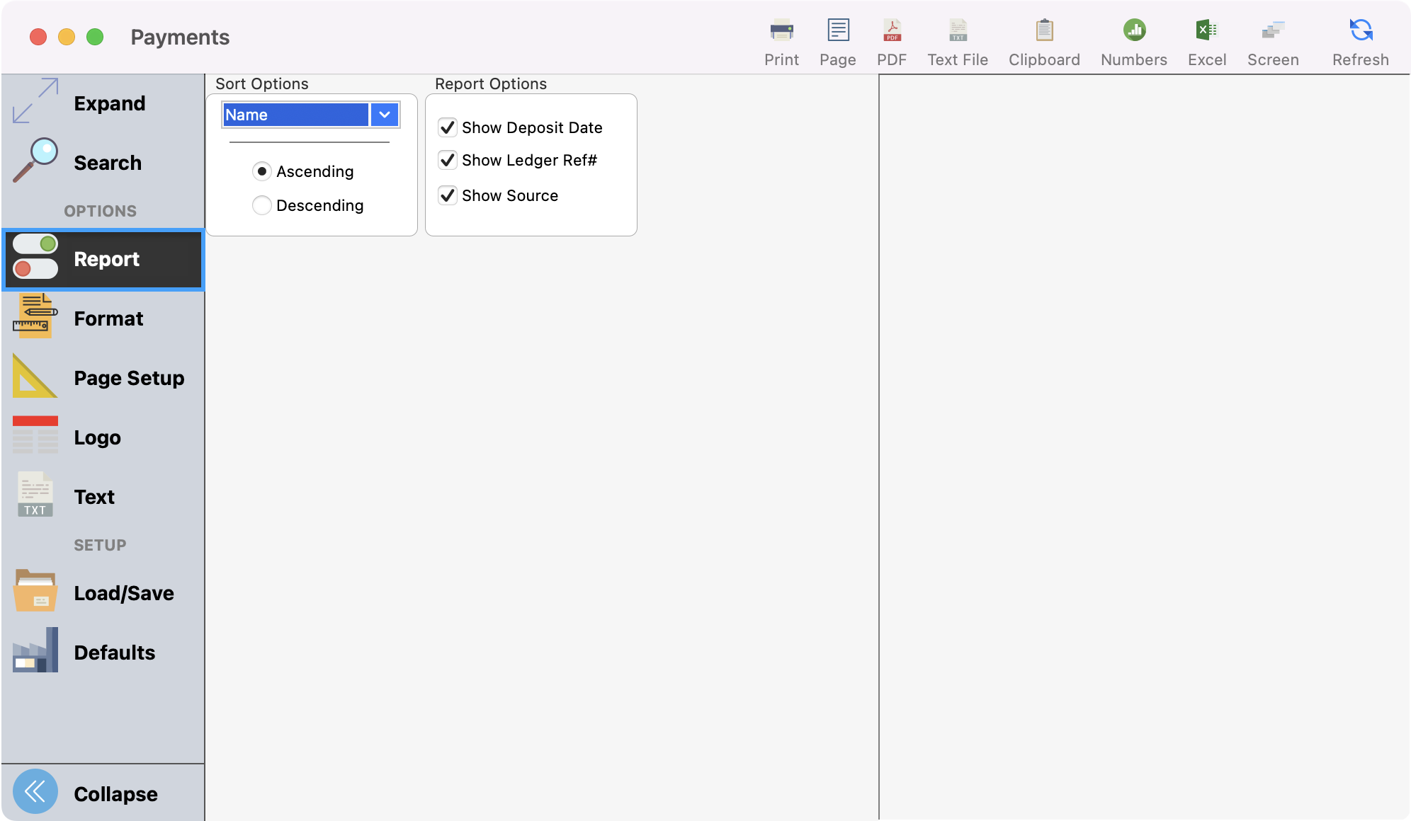 Payments window with Report highlighted in the left sidebar.