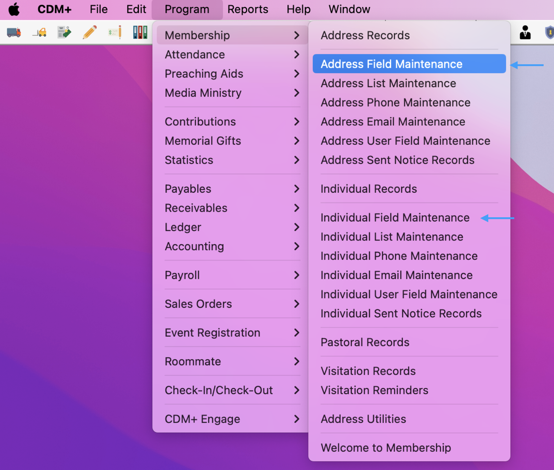 Picture of navigation to either Address Field Maintenance or Individual Field Maintenance