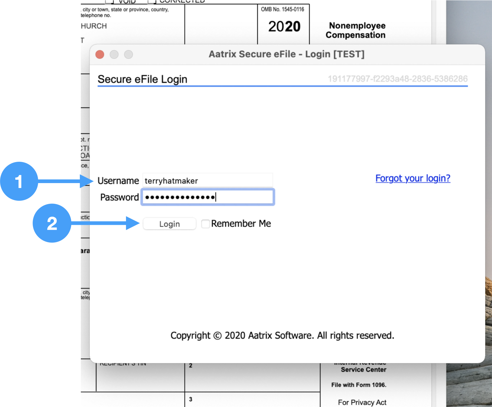 Print and efile macOS.004.png