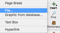 InsertFile.png
