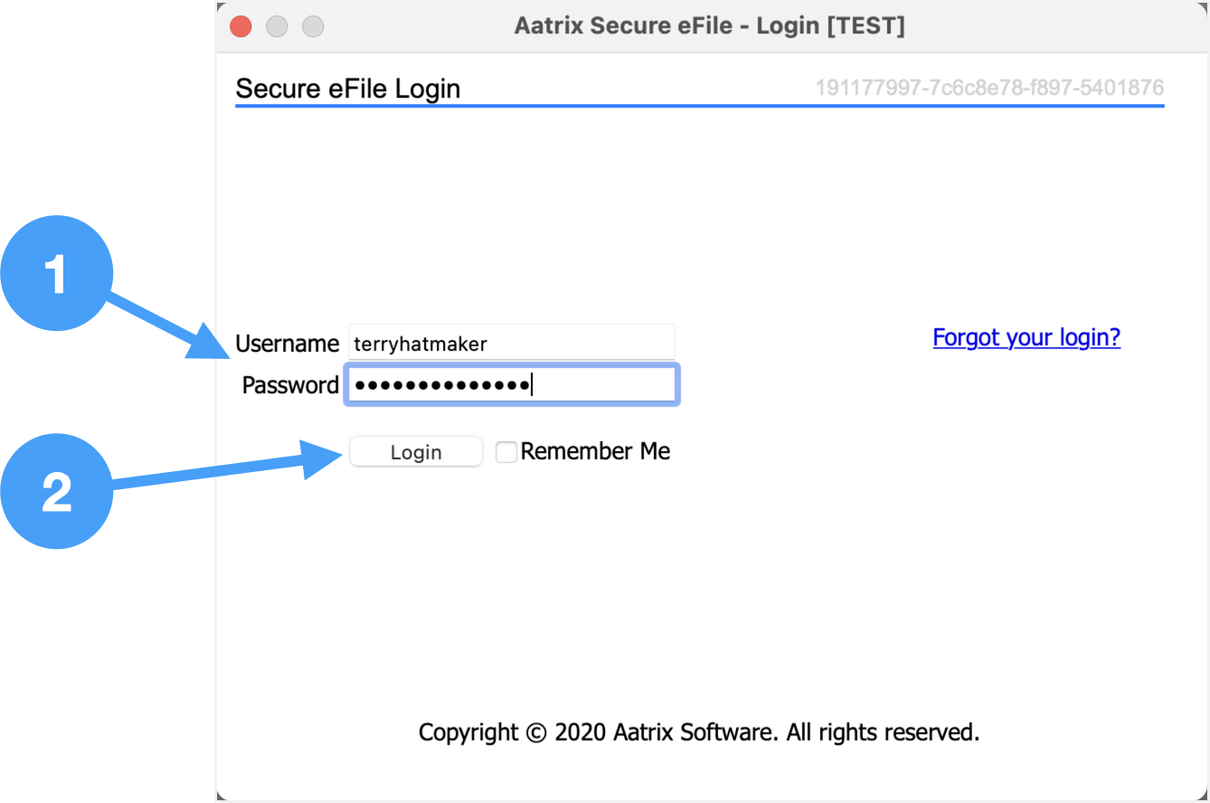 eFile Process macOS.005.png