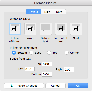 FormatPictureLayout.png