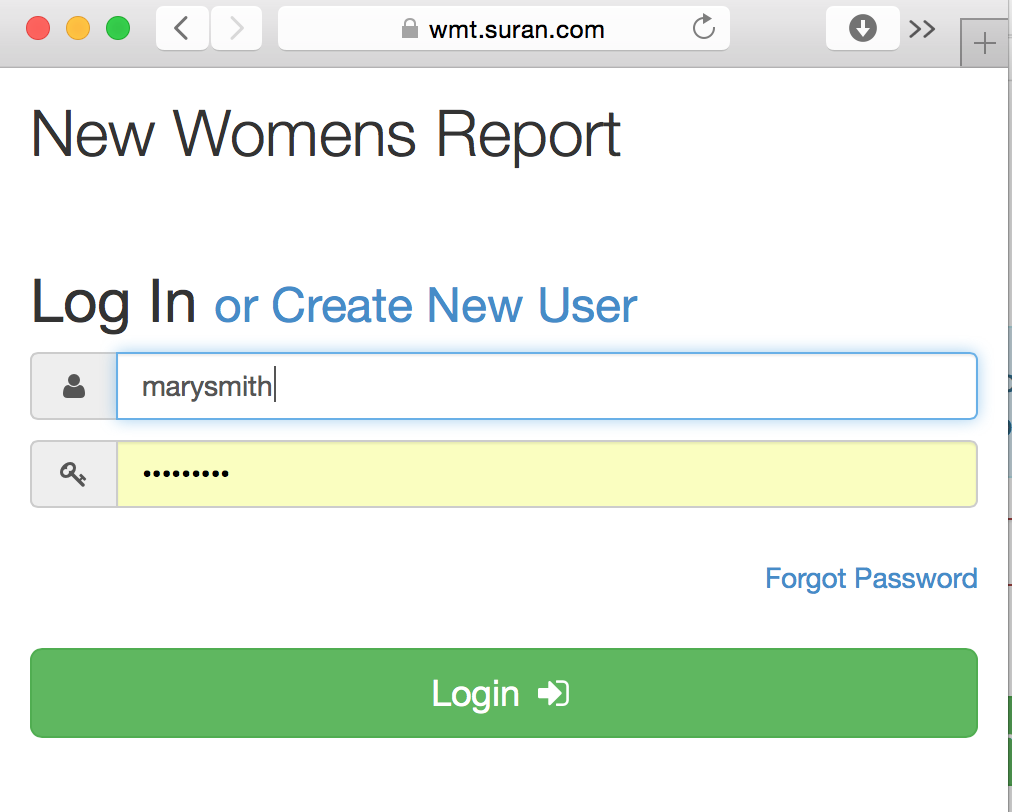 WomensRptToolLogin.png